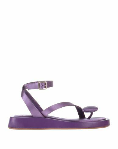 Gia / Rhw Woman Thong sandal Purple Textile fibers Cover