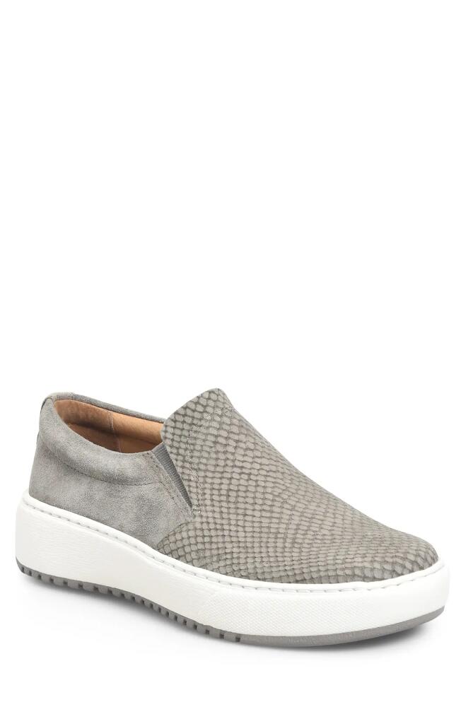 Söfft Watney Sneaker in Snare Grey/pietra Grey Cover