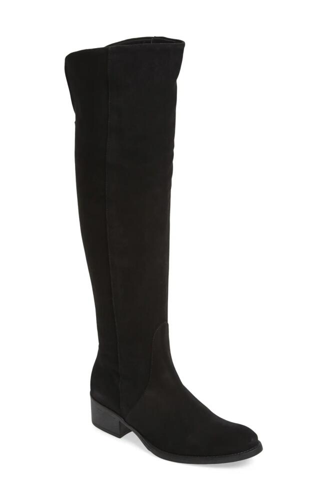 Toni Pons 'Tallin' Over-The-Knee Riding Boot in Black Suede Cover