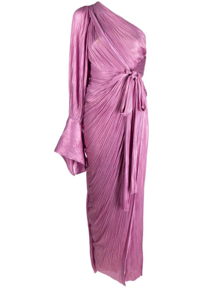 Maria Lucia Hohan Palmer plissé-pleated gown - Pink Cover