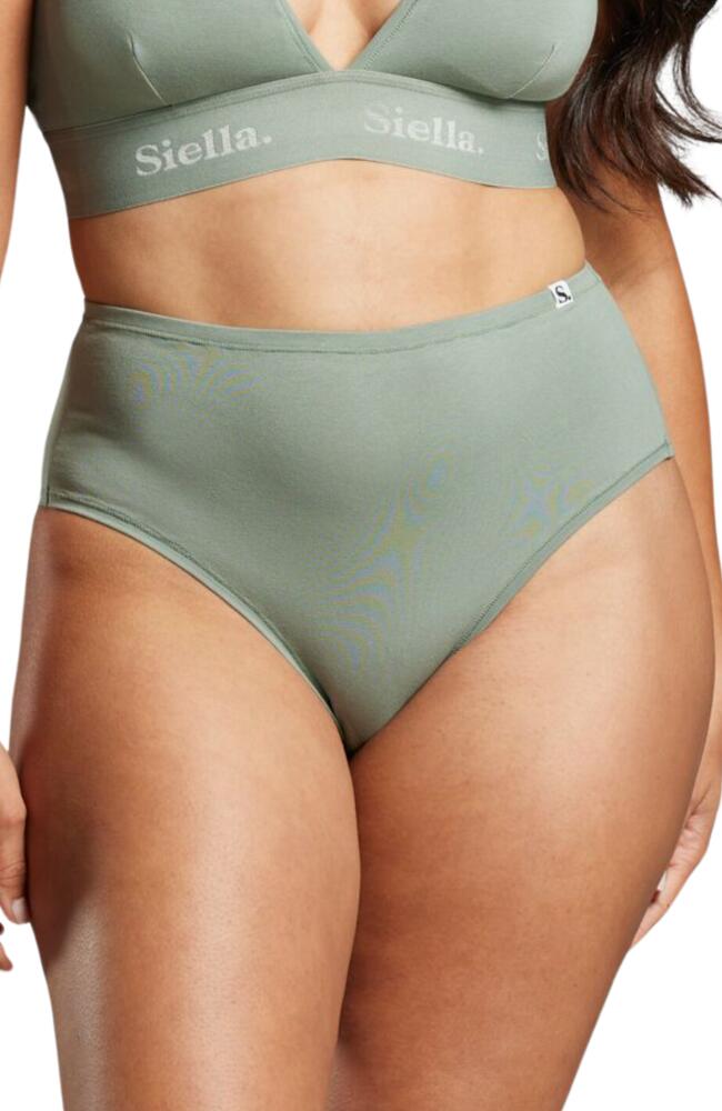 Siella Organic Cotton High Waist Brief in Sage Green Cover