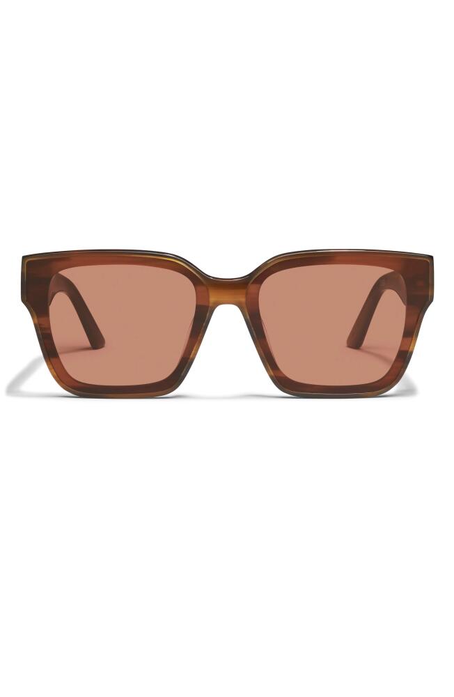 QUAY Drive In 51mm Square Sunglasses in Wood Tortoise /Dark Apricot Cover