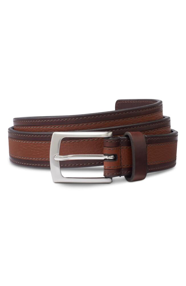 Allen Edmonds Nashua Street Leather Belt in Coffee Cover