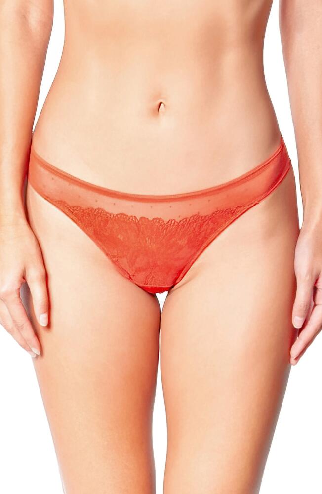 Huit Brandy Tanga in Brick Cover