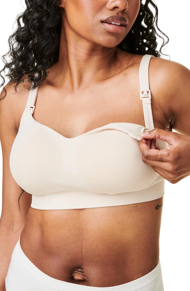 Bravado Designs Intrigue Nursing Bra in Pearl Cover