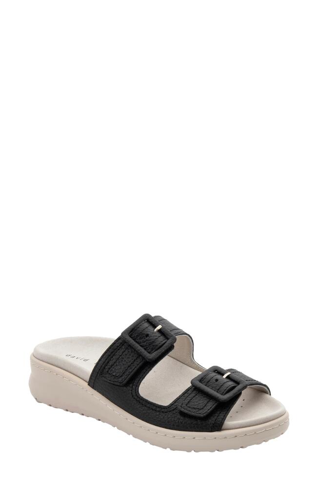 David Tate Frenchy Double Band Slide Sandal in Black Cover