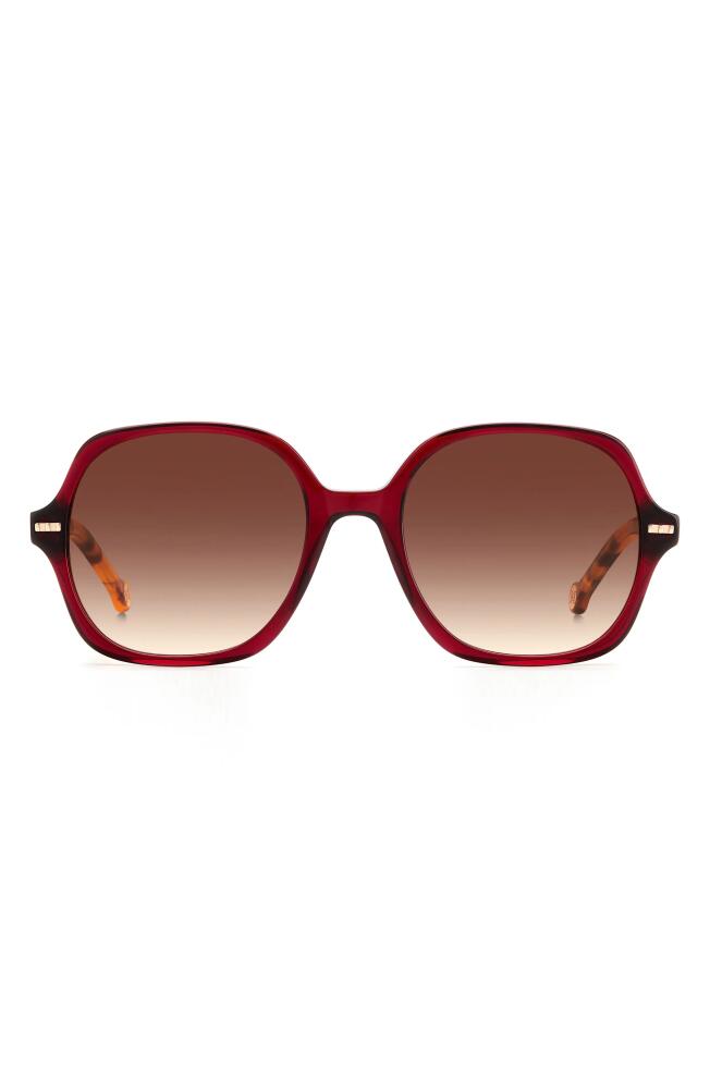 Carolina Herrera 55mm Square Sunglasses in Black Burgundy/grey Cover