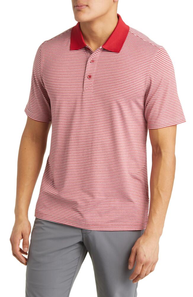 Cutter & Buck Forge DryTec Stripe Performance Polo in Cardinal Red Cover