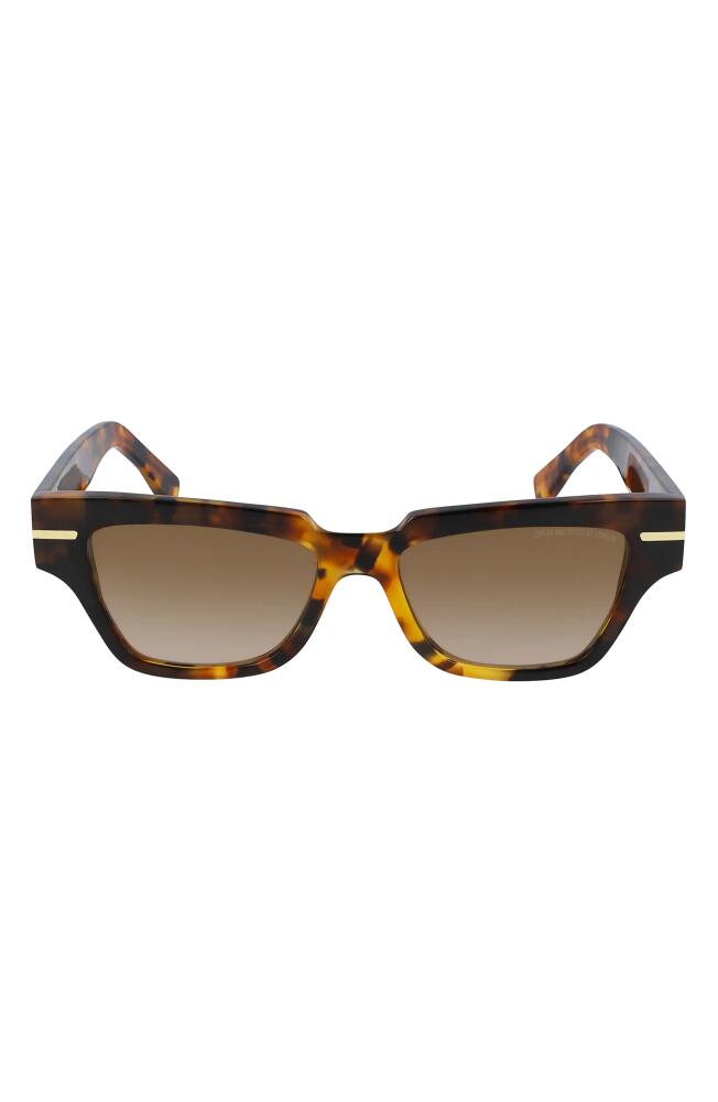 Cutler and Gross 54mm Square Sunglasses in Turtle/Brown Cover