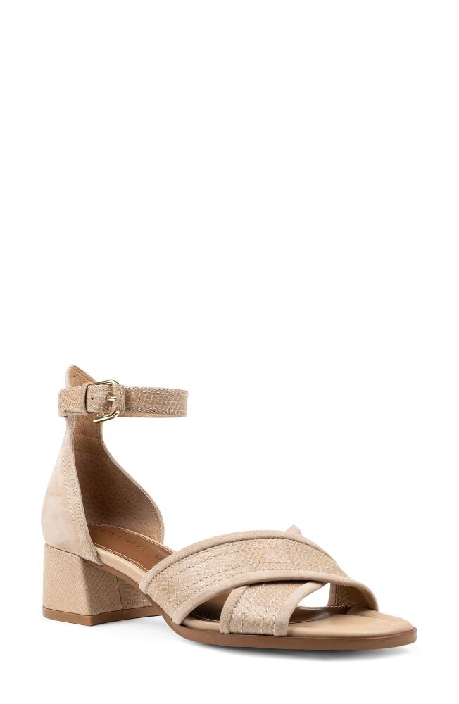 Donald Pliner Ava Ankle Strap Sandal Cover