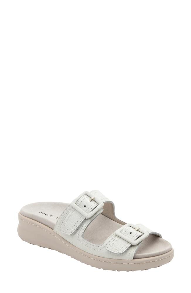 David Tate Frenchy Double Band Slide Sandal in White Cover