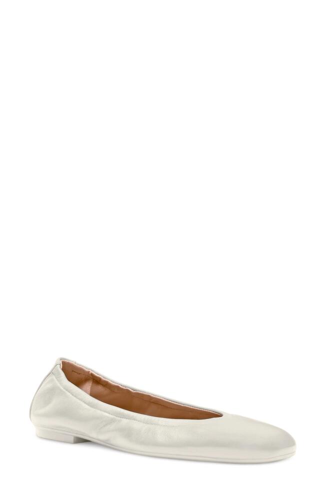 Stuart Weitzman Leather Ballet Flat in Oat Cover