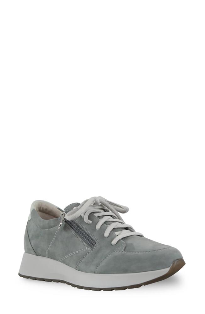 Munro Sutton Sneaker in Sage Cover