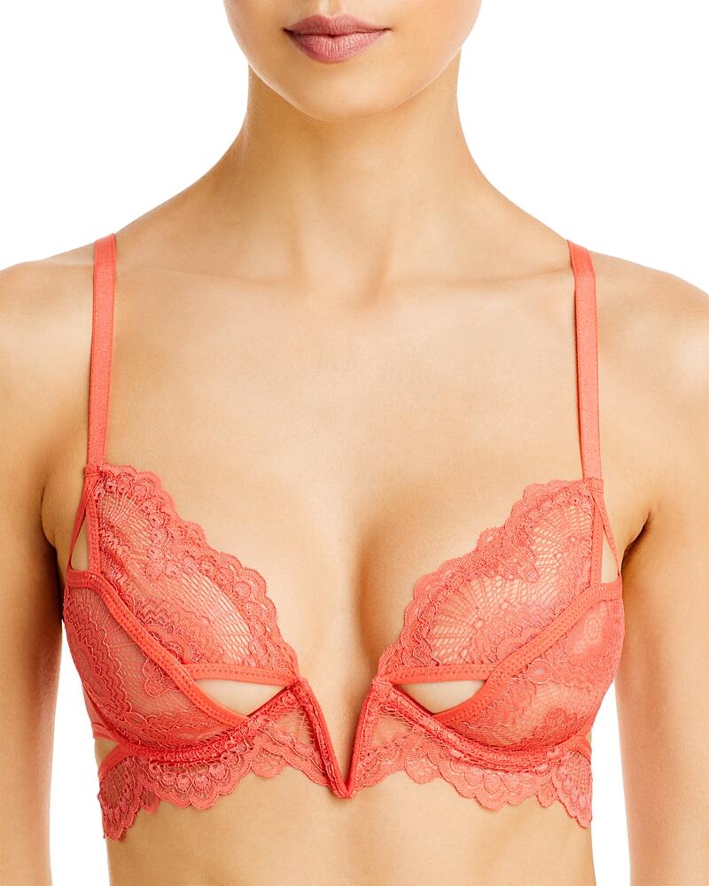 Thistle & Spire Kane V-Wire Lace Bra Cover