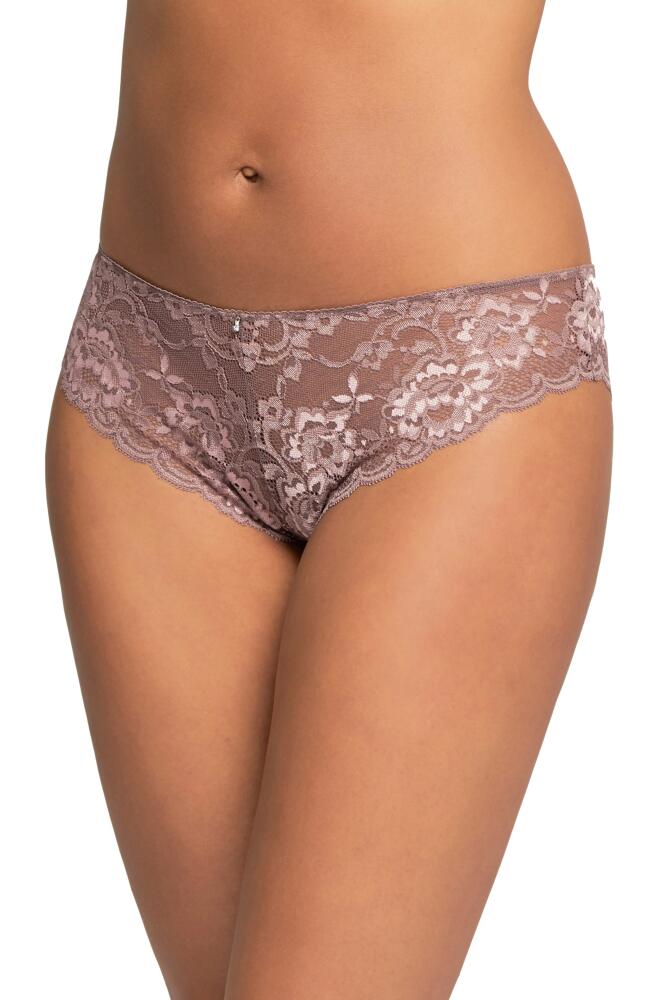 Montelle Intimates Brazilian Lace Panties in Almond Spice Cover