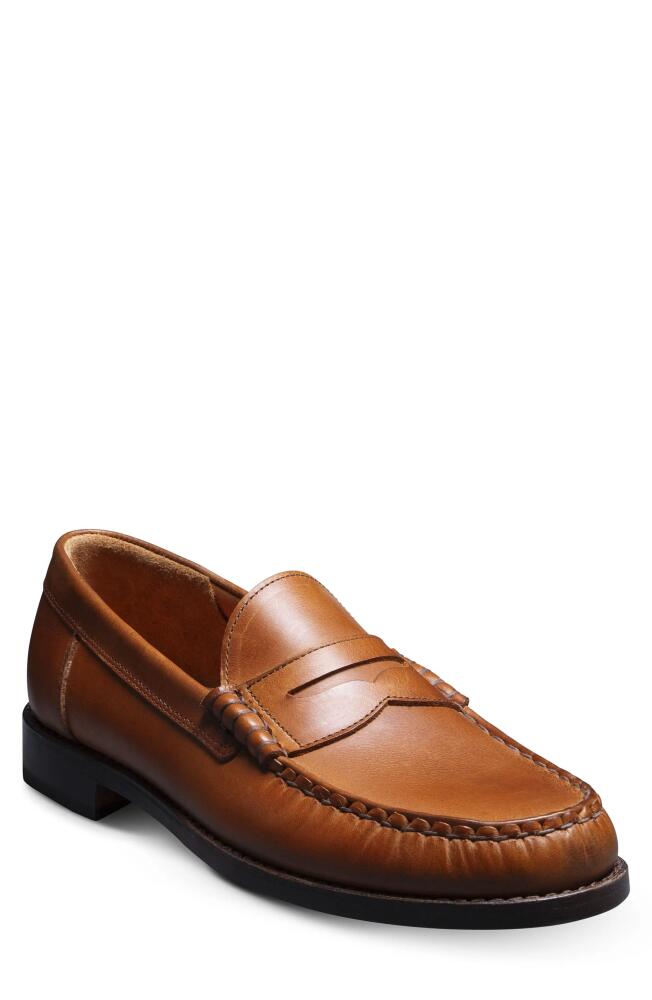 Allen Edmonds Newman Penny Loafer in Pecan Cover