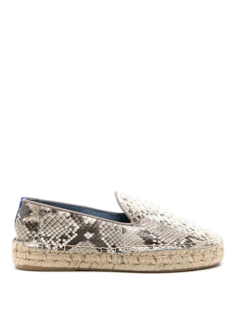 Blue Bird Shoes snakeskin-effect round-toe espadrilles - Grey Cover