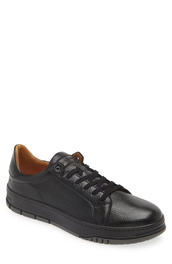 Mezlan Grazia Sneaker in Black Cover