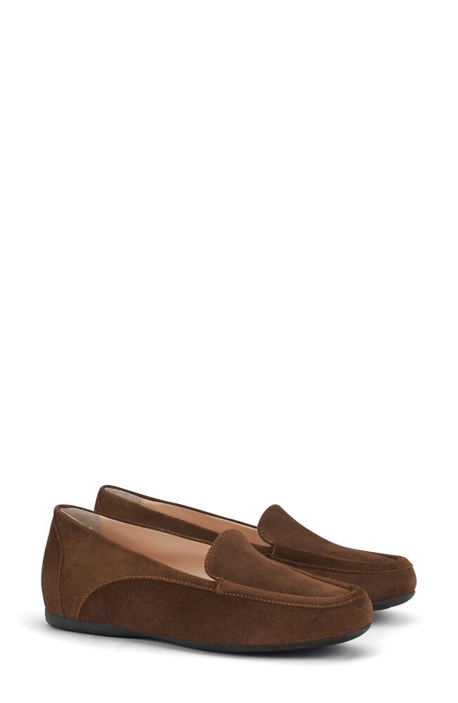 AGL Ena Loafer in Cognac Cover