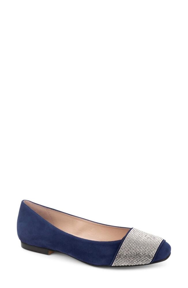 patricia green Milan Embellished Ballet Flat in Navy Suede Cover