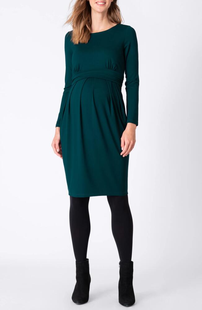 Seraphine Pleated Waist Long Sleeve Maternity/Nursing Dress in Open Green Cover