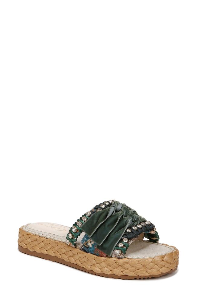 Circus NY by Sam Edelman Wyatt Slide Sandal in Ocean Sapphire Multi Cover