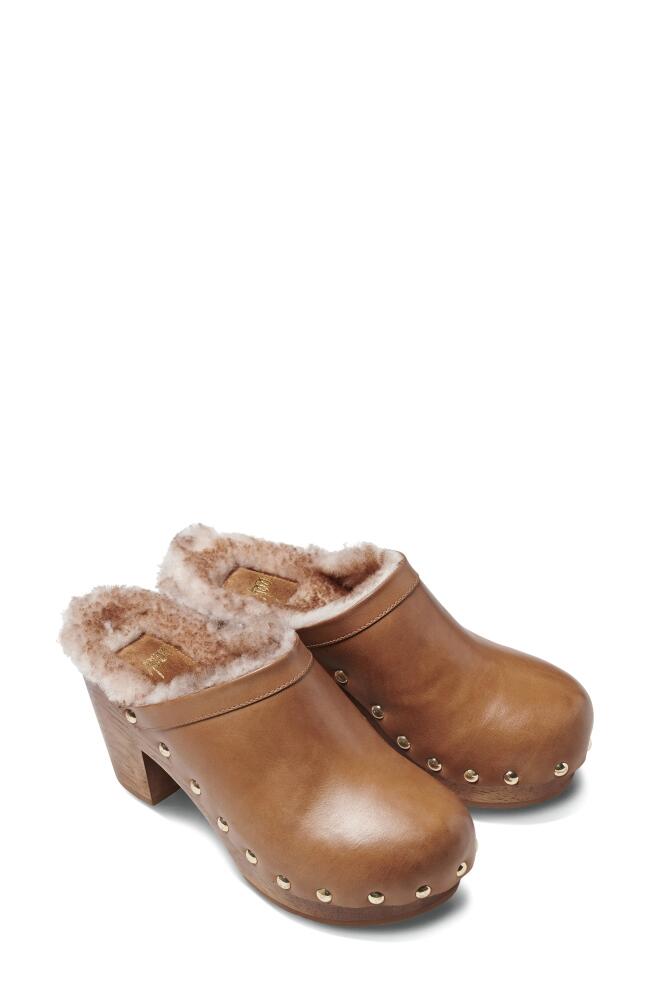 Beek Woodpecker Genuine Shearling Clog in Saddle /Honey Shearling Cover