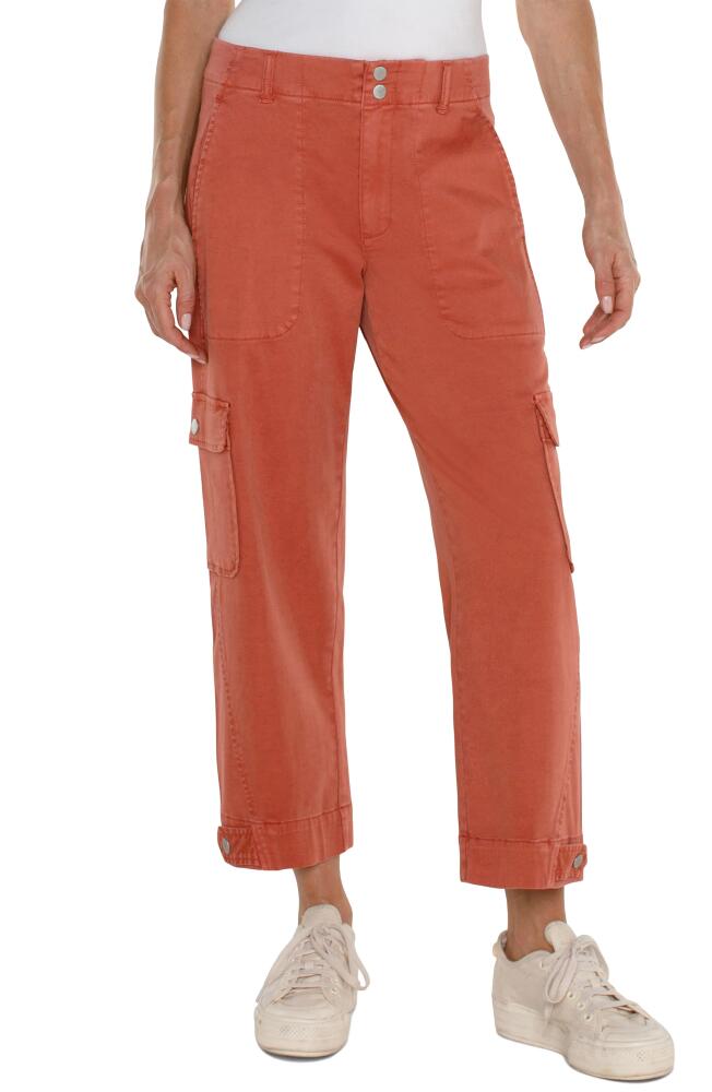 Liverpool Los Angeles Utility Stretch Twill Crop Cargo Pants in Terracotta Cover