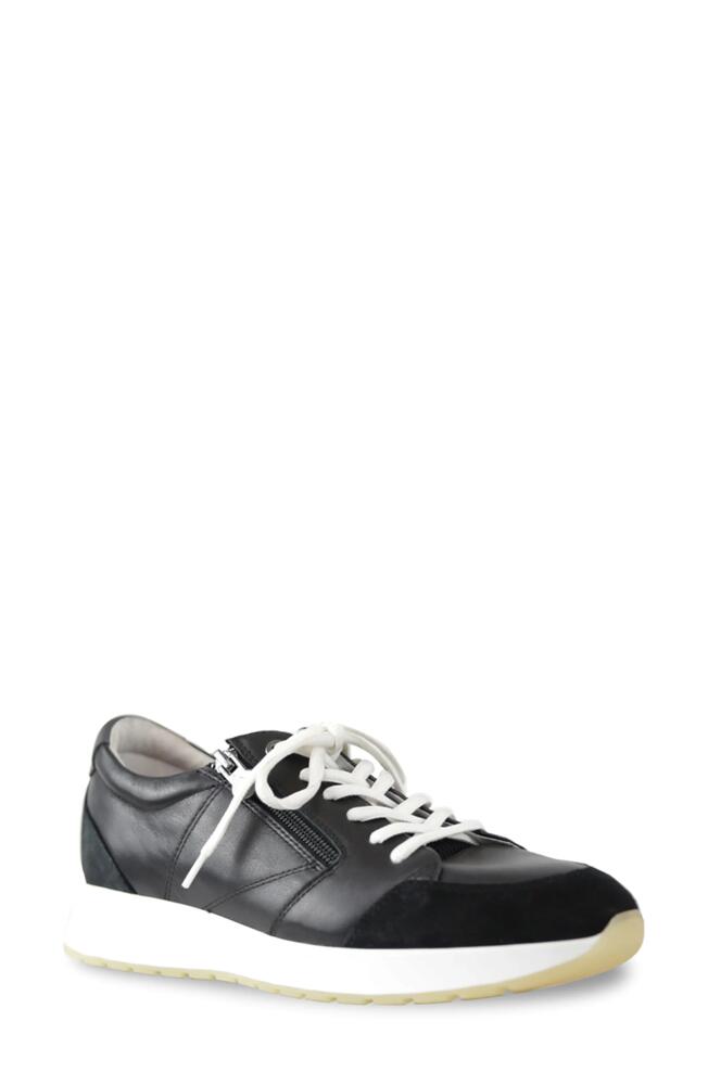 Munro Sutton Sneaker in Black Combo Cover