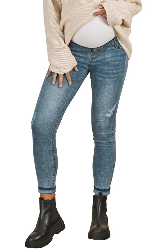 Angel Maternity Claire Over the Bump Skinny Maternity Jeans in Blue Denim Cover