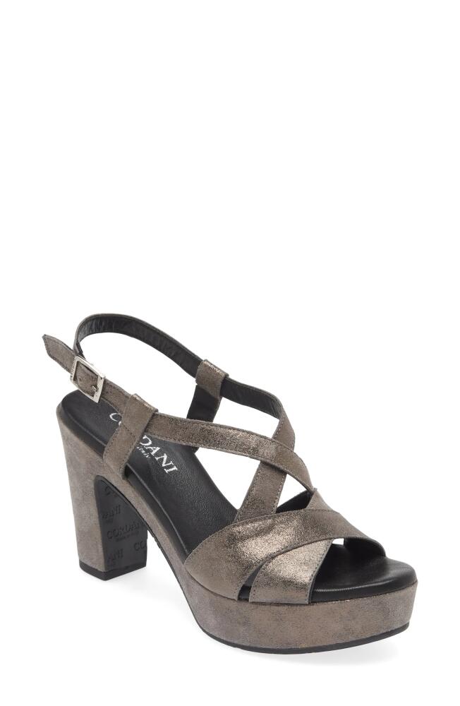 Cordani Tahlia Strappy Platform Sandal in Crosta Asfalto Cover