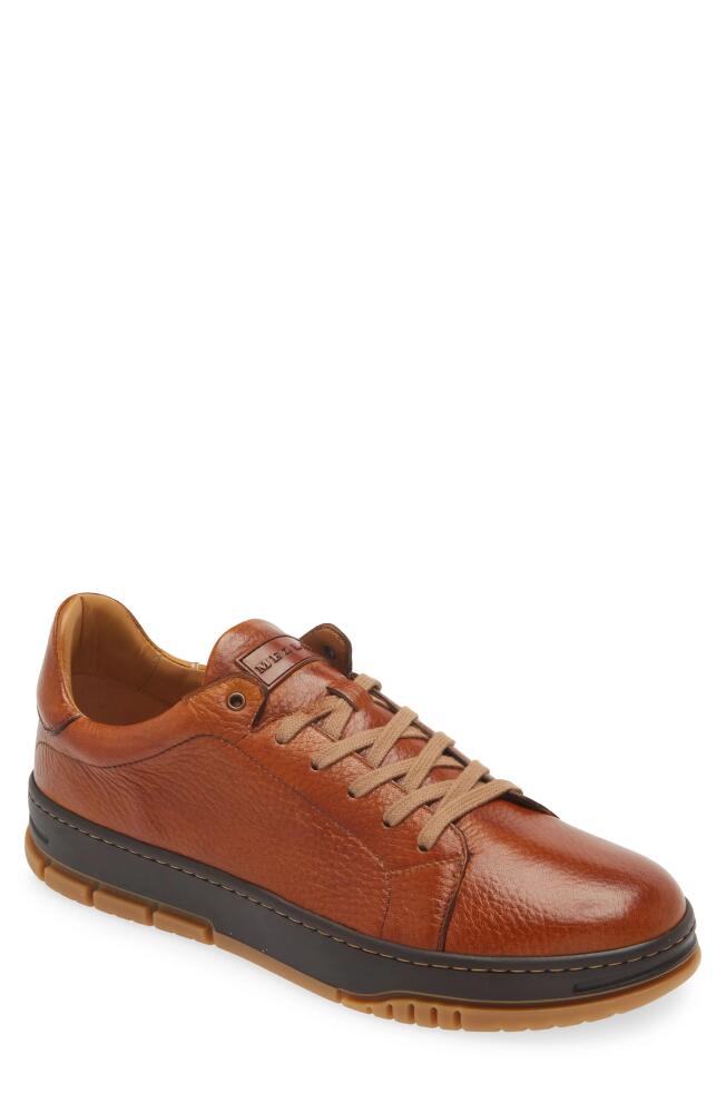 Mezlan Grazia Sneaker in Dark Cognac Cover