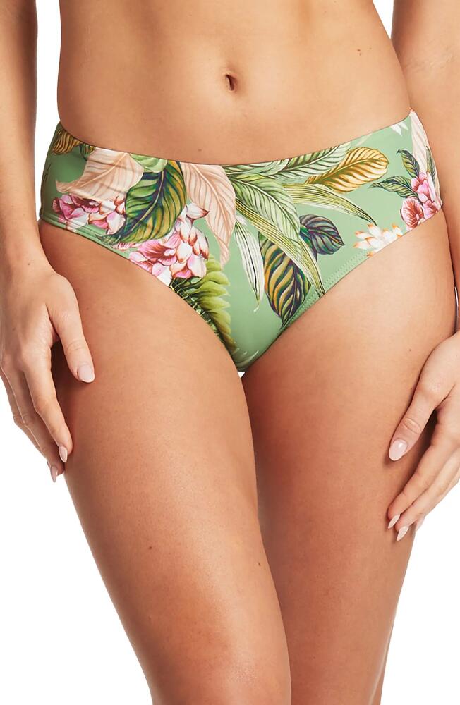 Sea Level Bikini Bottoms in Green Cover