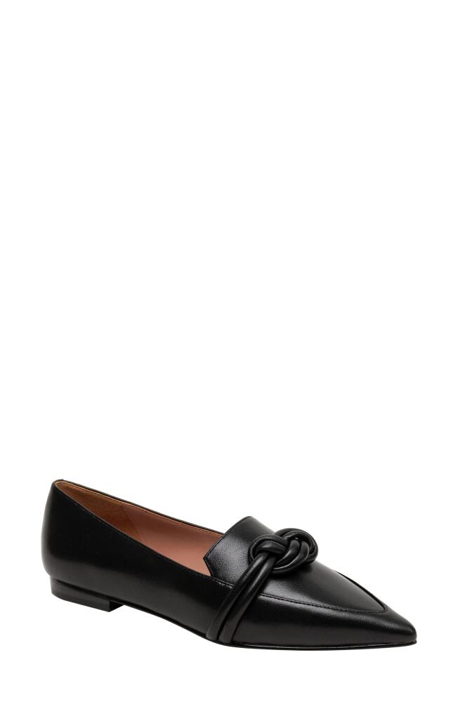 Linea Paolo Marais Pointed Toe Flat in Black Cover