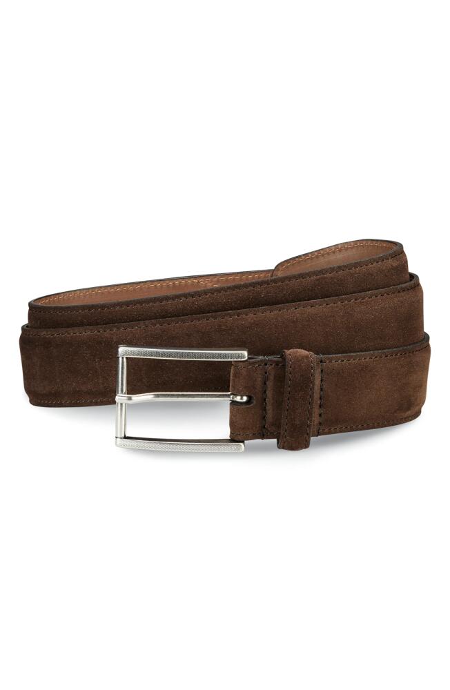 Allen Edmonds Suede Avenue Leather Belt in Brown Suede Cover