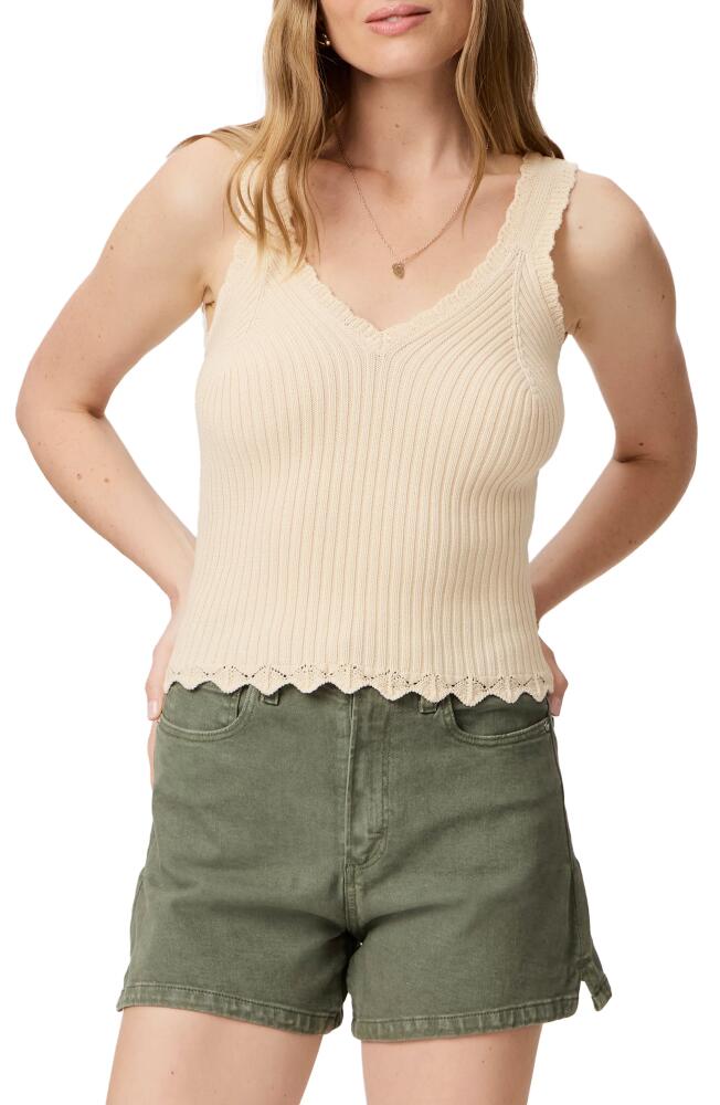 PAIGE Buona Cotton Rib Sweater Tank in Ecru Cover