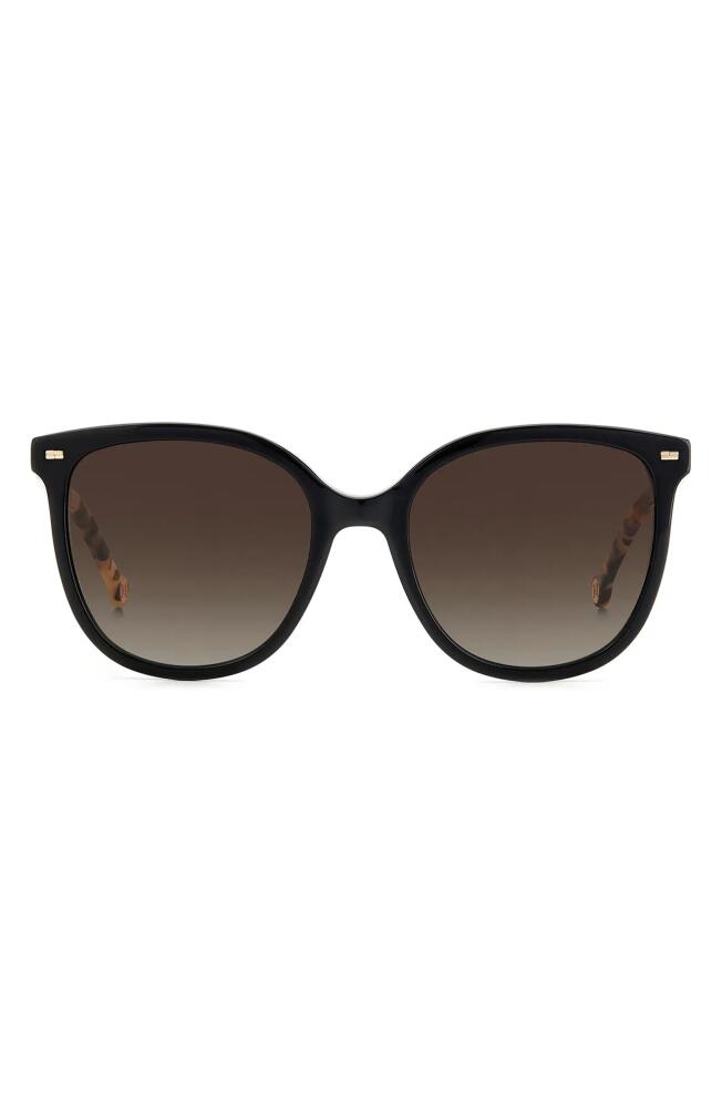 Carolina Herrera 55mm Round Sunglasses in Black Havana Cover