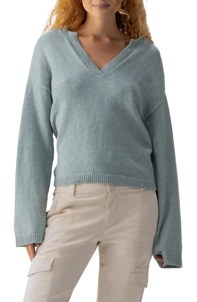 Sanctuary Chill Vibes Cotton V-Neck Sweater in Eucalyptus Cover