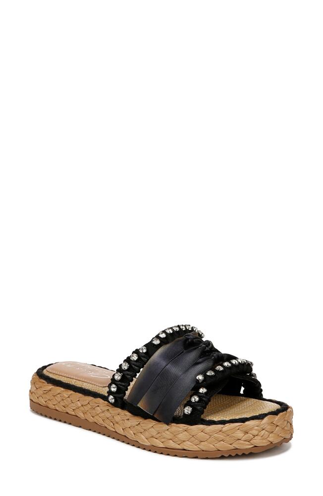 Circus NY by Sam Edelman Wyatt Slide Sandal in Black Cover