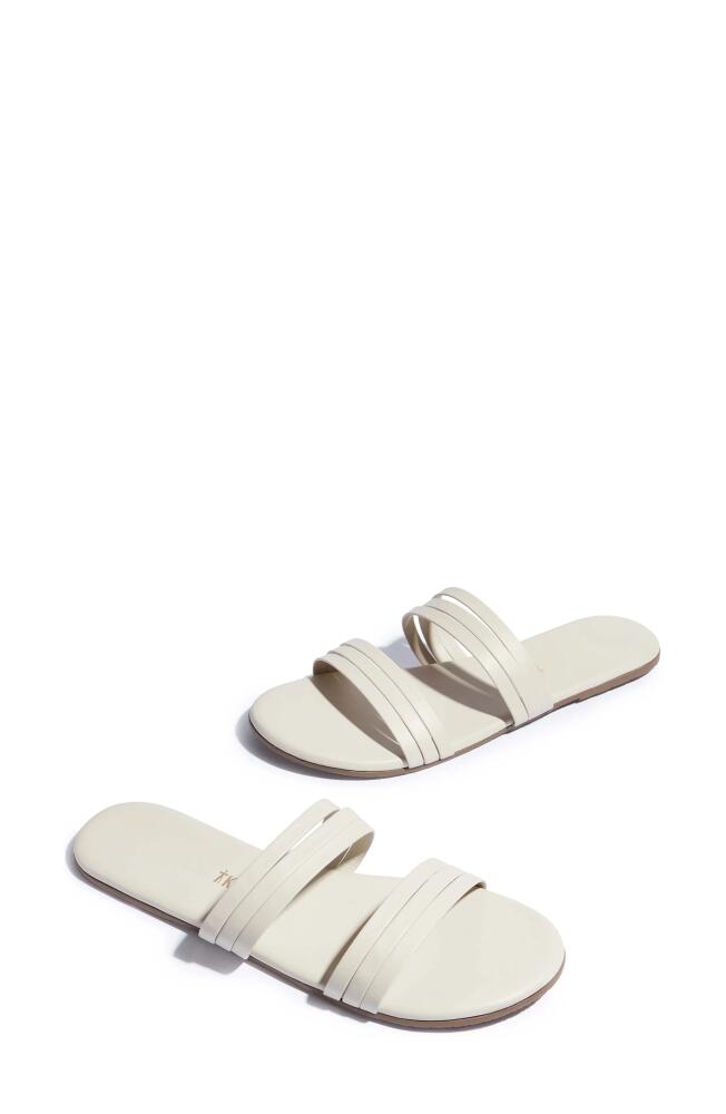 TKEES Allegra Slide Sandal in Stone Cover