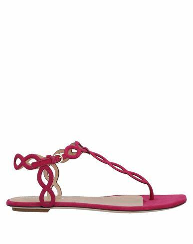 Sergio Rossi Woman Thong sandal Garnet Soft Leather Cover