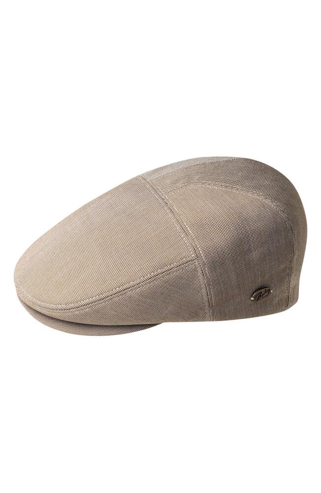 Bailey Slater Driving Cap in Taupe Cover