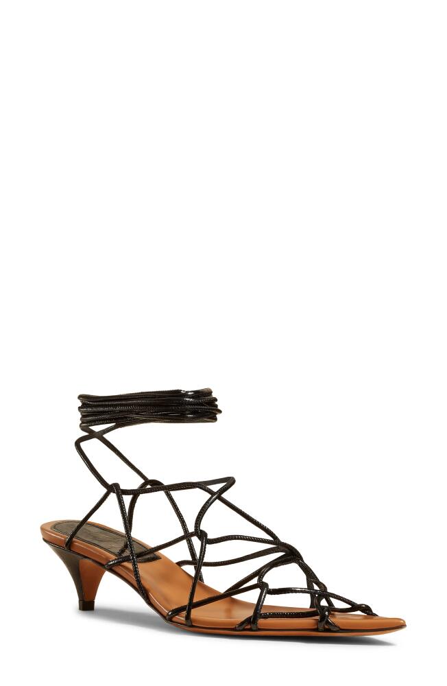 Khaite Arden Ankle Wrap Sandal in Black Cover