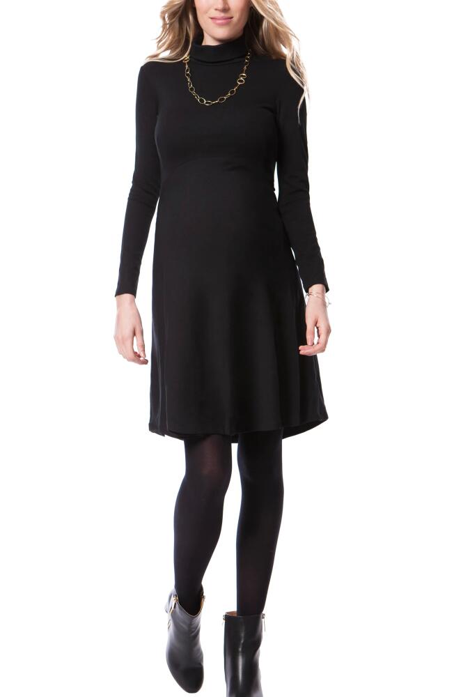 Seraphine Turtleneck Long Sleeve A-Line Maternity Dress in Black Cover