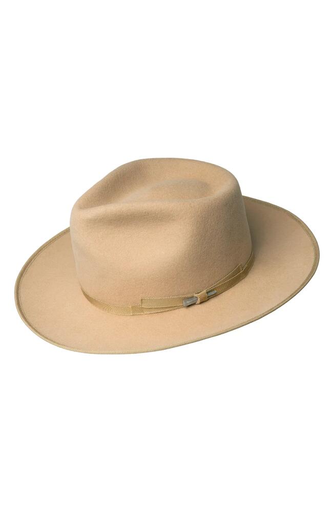 Bailey Colver Wool Fedora in Honey Cover