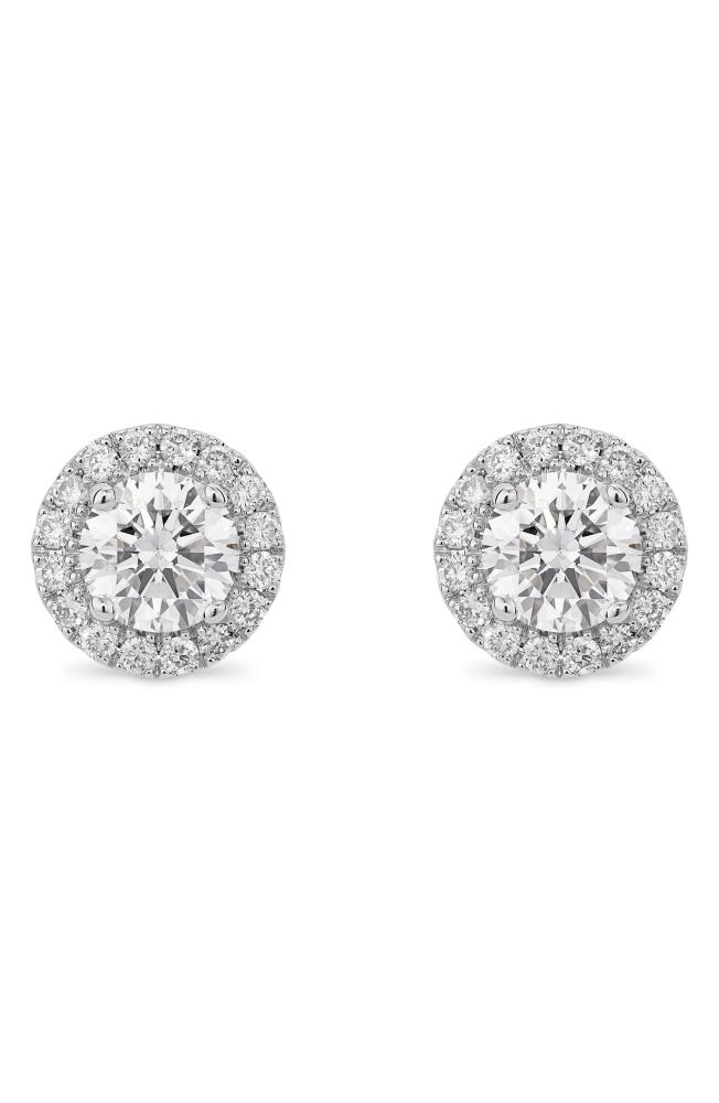 LIGHTBOX 1-Carat Lab Grown Diamond Halo Stud Earrings in White/14K White Gold Cover