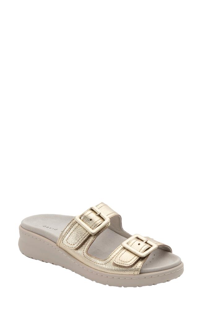 David Tate Frenchy Double Band Slide Sandal in Platinum Cover