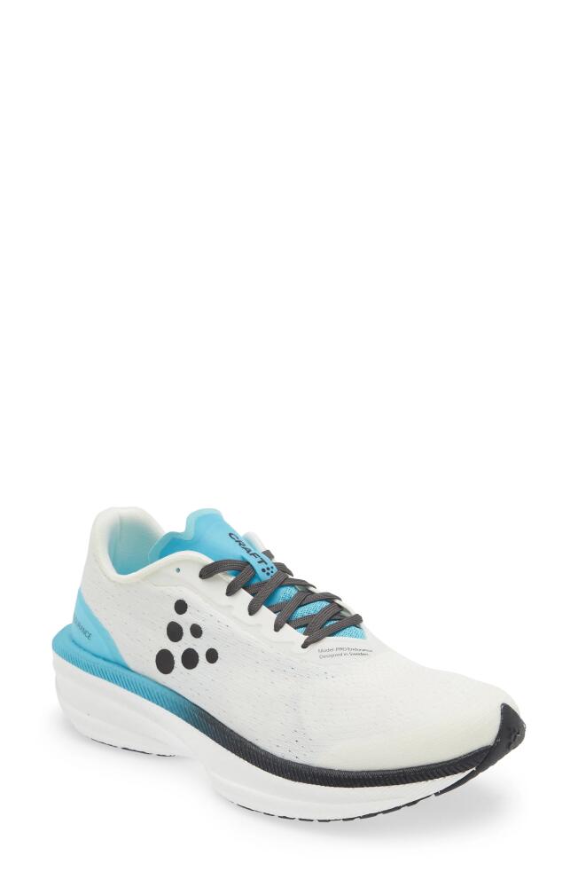 Craft Pro Endur Distance Running Shoe in White-Aquamarine Cover