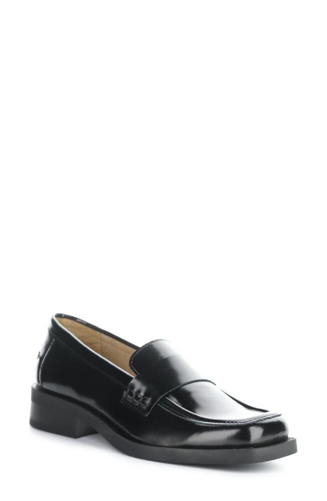 Bos. & Co. Emily Loafer in Black James Polido Cover