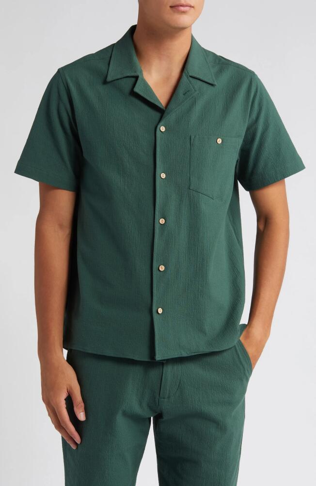 Percival Textured Solid Short Sleeve Cotton Button-Up Shirt in Forest Cover